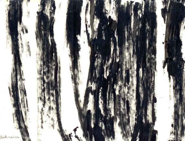 2010 Schwarze Staemme